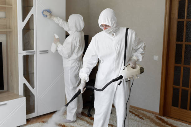 Affordable Sewage Cleanup solutions in Bradford, OH