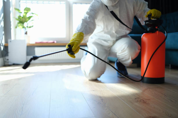 Reliable Sewage Cleanup contractor in Bradford, OH by Trauma Clean Pros